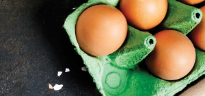 Ovos | Alimentação Vegetariana | Dieta | Holmes Place 