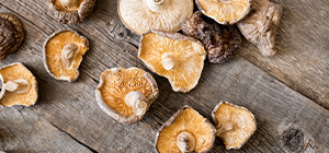 cogumelos | alimentação | exposição solar