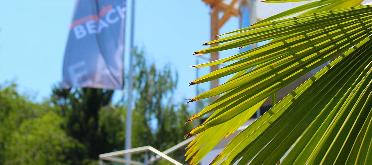 barracuda outdoor website header