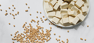 Soja, Tofu e Tempeh | Proteína vegetal | Alimentação Saudável | Holmes Place