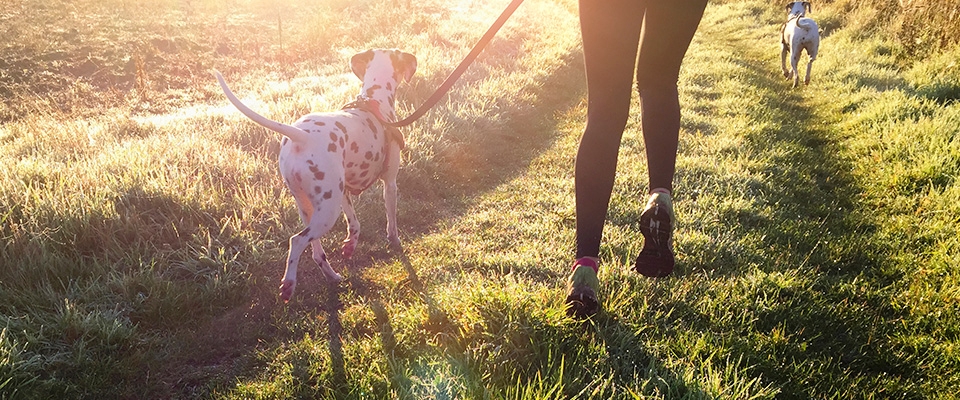 Holmes Place | Walking the dog