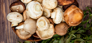 cogumelos frescos | plant-based | frigorifico