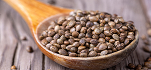 sementes de cânhamo | 7 alimentos ricos em proteína | holmes place