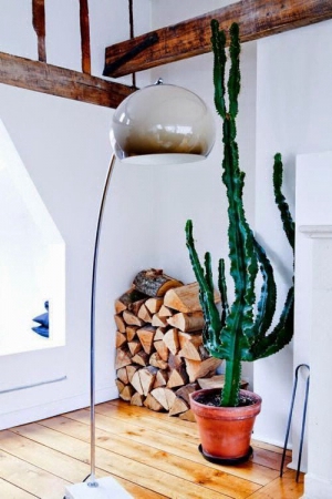 planta6