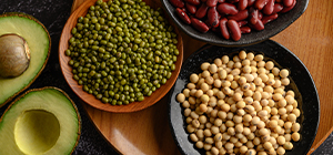 leguminosas | frigorifico | holmes place