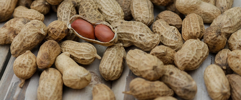 Manteiga de amendoim dieta cetogenica