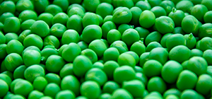 Ervilhas com ovos escalfados | Receitas | Holmes Place 