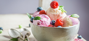 gelado de frutas naturais | alimentação | holmes place