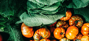 antioxidantes | alimentação plant-based | parkinson | Holmes Place