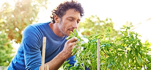 dieta produtos orgânicos_3