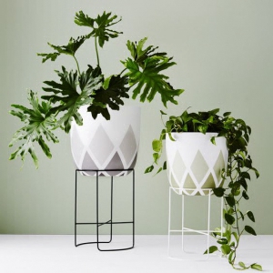planta3