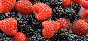 revesratrol | alimentação plant-based | parkinson | Holmes Place