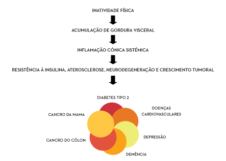 Efeito anti-inflamatório do exercício físico | Holmes Place
