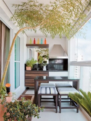 planta 10