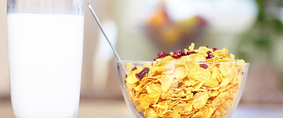 Alimentos para uma dieta sem lactose | Holmes Place