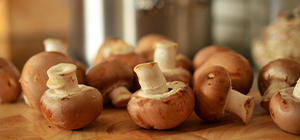 Vitamina D | Saúde | Holmes Place 